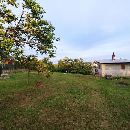 Wine House Znojmo Villa Екстериор снимка
