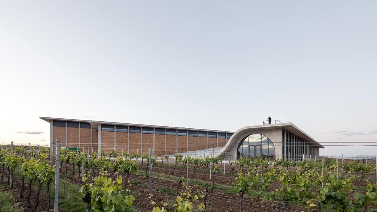 Wine House Znojmo Villa Екстериор снимка